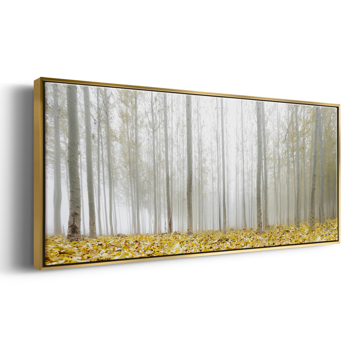 Poplar Grove - Floater Framed Canvas Print