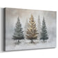 Pearled Snow at Night - Canvas Art Print