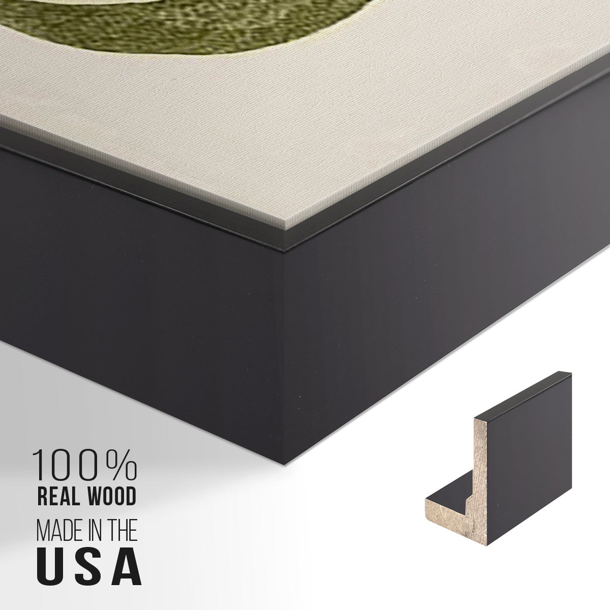 Buchoz Tropicals II - Floater Framed Canvas Set