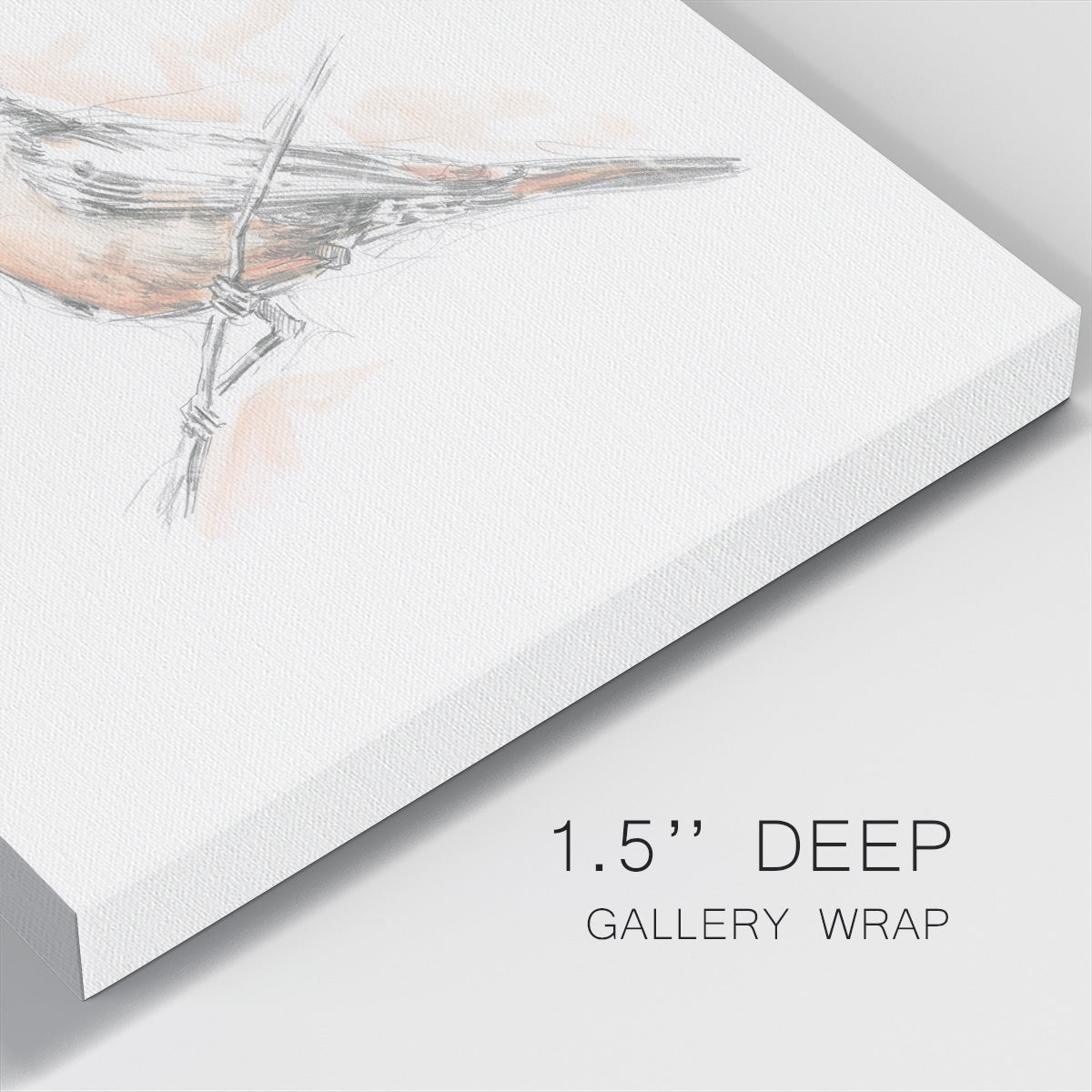 Robin Bird Sketch II - Canvas Art Print