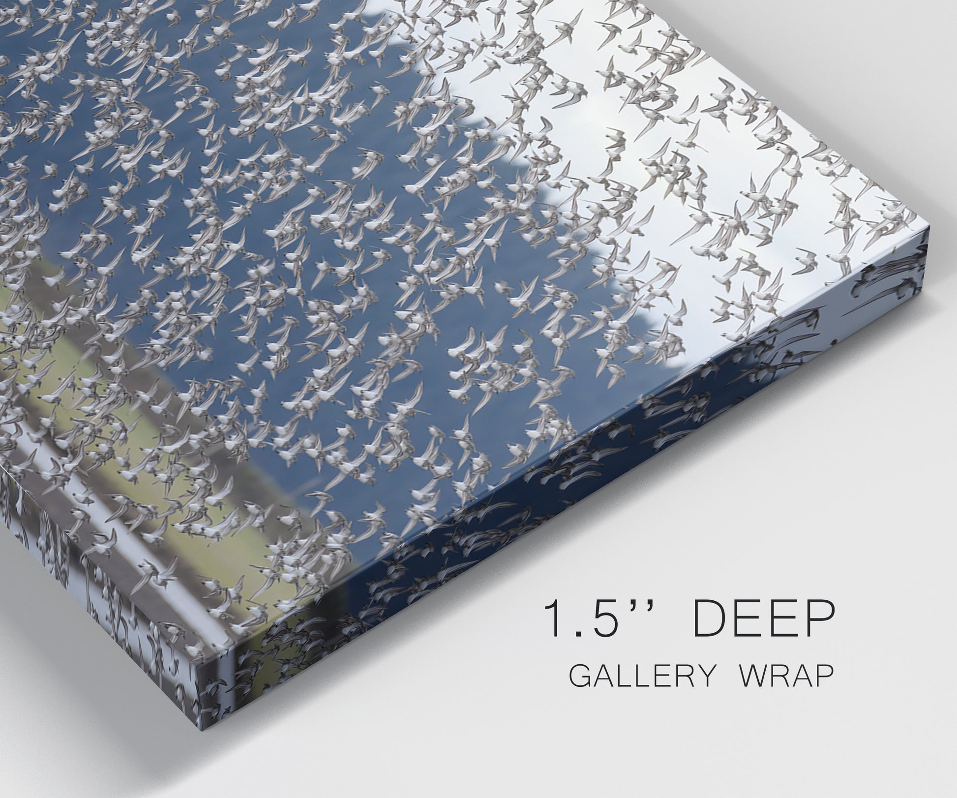 Close-up view of wrapped canvas corner featuring group of animals in open field.