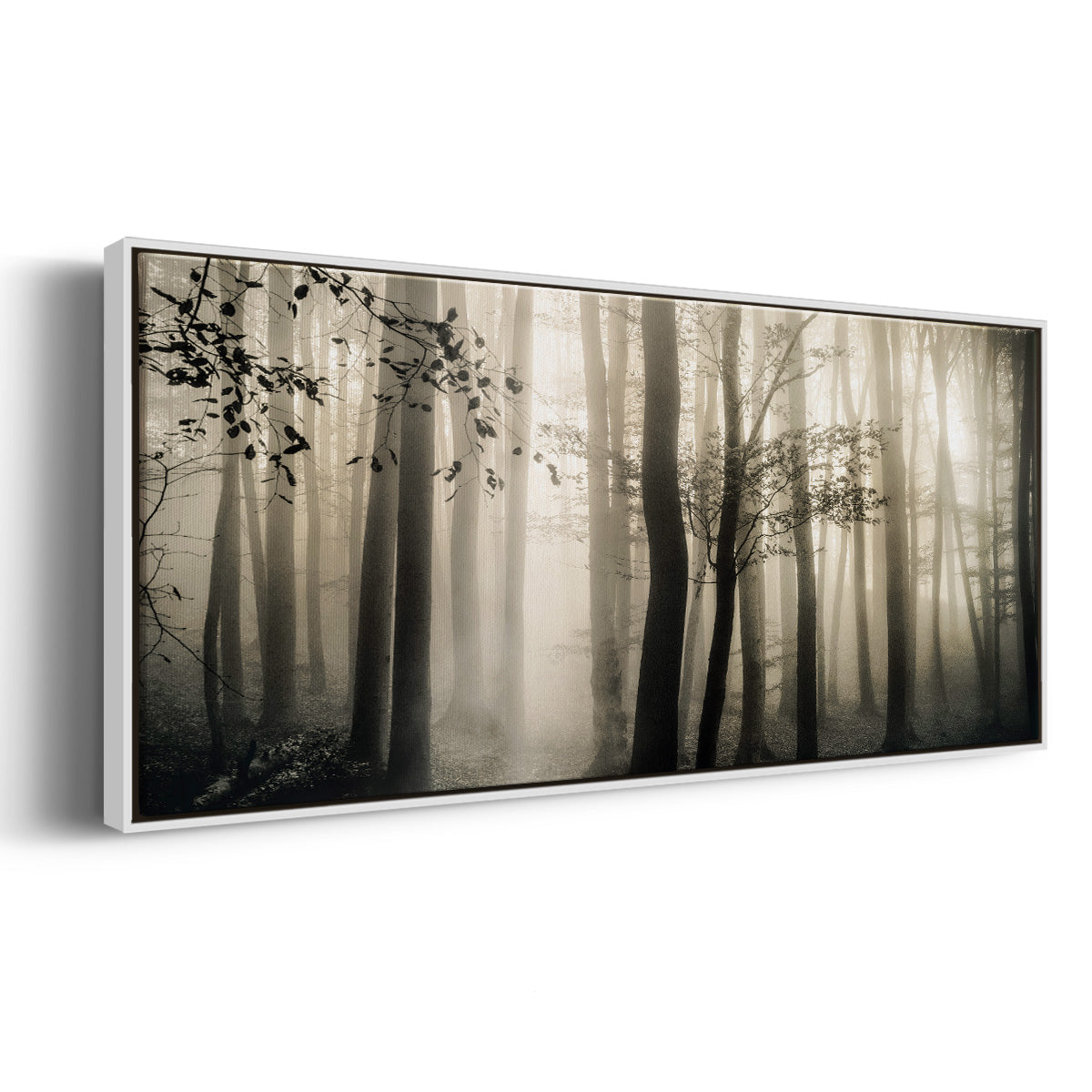 Light is Always There - Floater Framed Canvas Print
