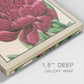 Peony Collection V - Canvas Art Print