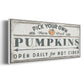 Pumpkin Patch I - Floater Framed Canvas Print