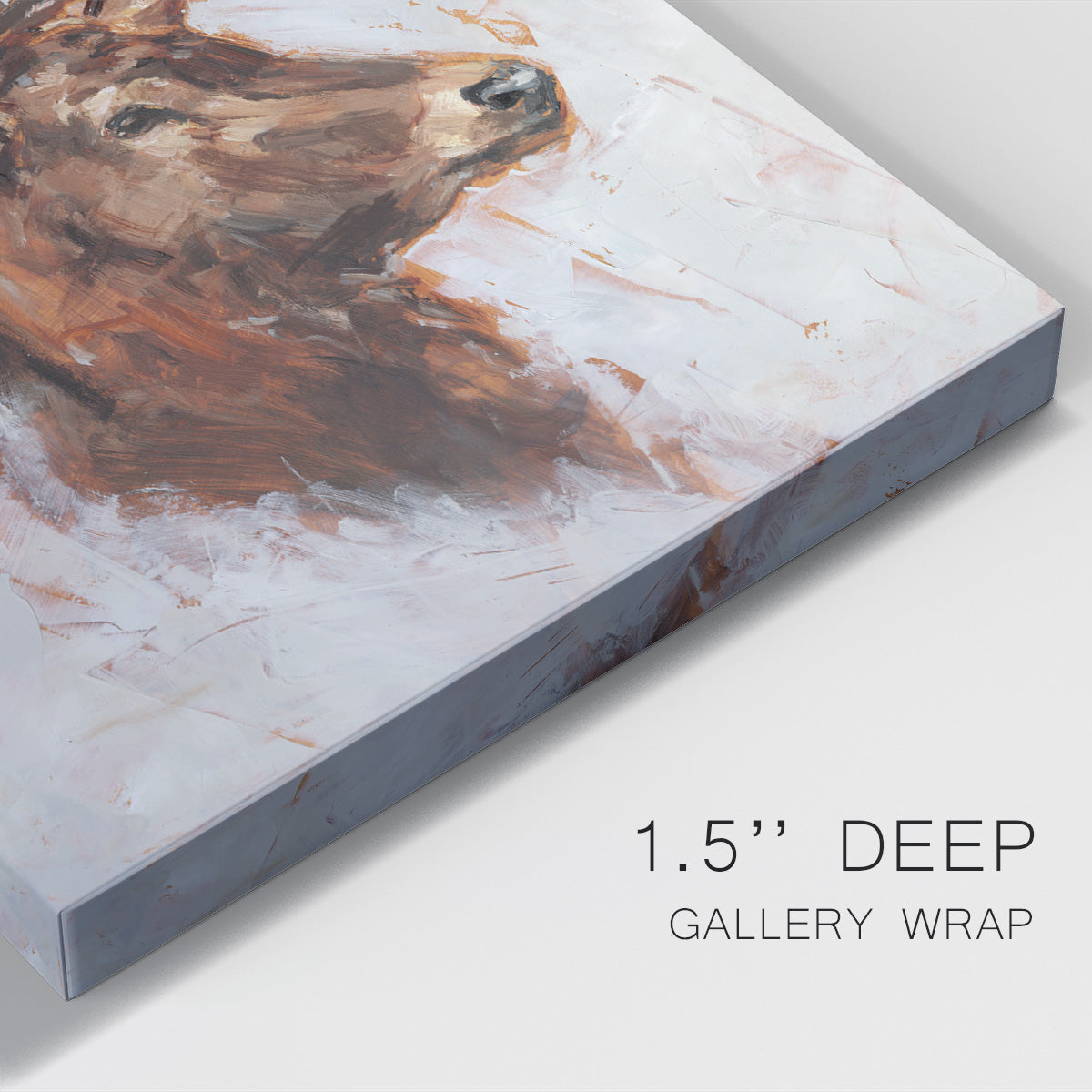 Stag Study II Premium Gallery Wrapped Canvas - Ready to Hang