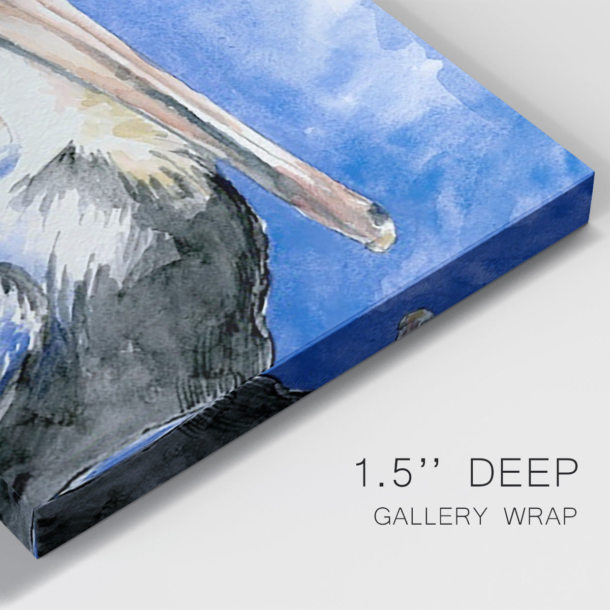 Pelican Pool I Premium Gallery Wrapped Canvas - Ready to Hang