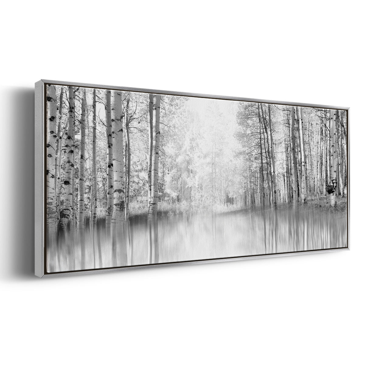 Aspen Reflection - Floater Framed Canvas Print