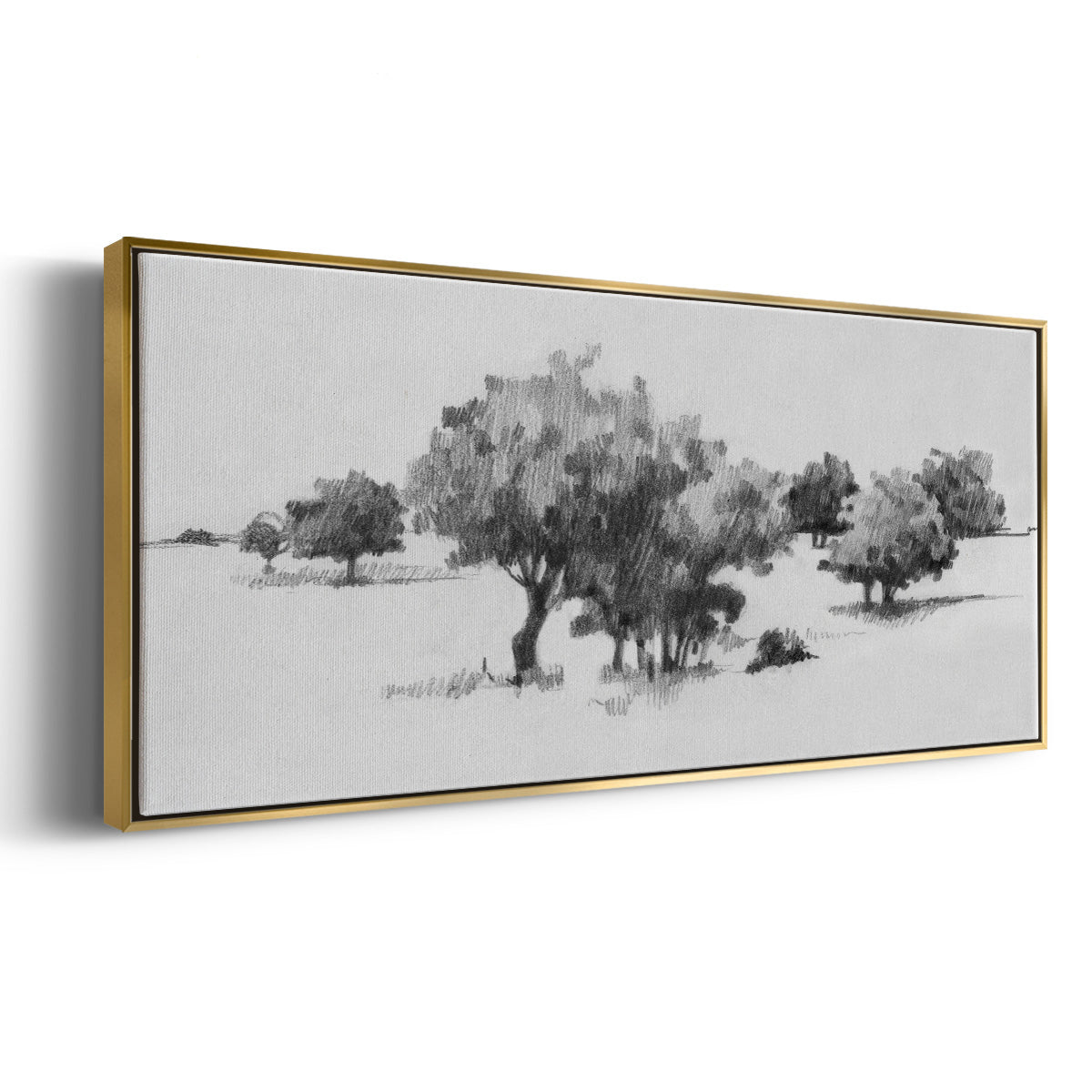 Treeline Sketch II - Floater Framed Canvas Print