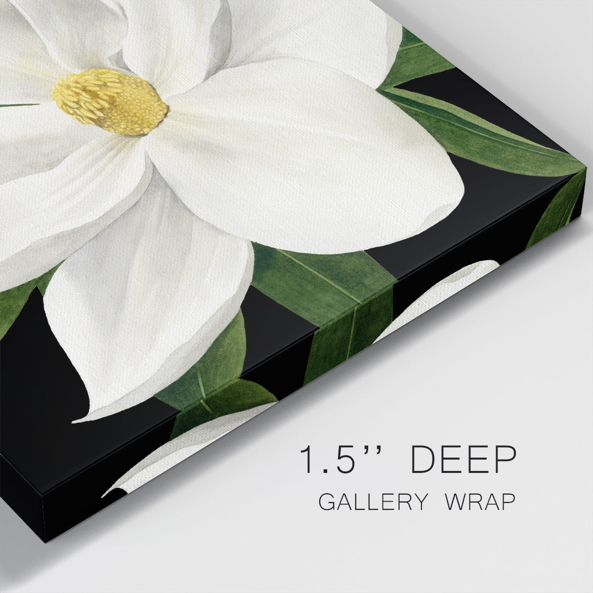 Midnight Magnolia II - Canvas Art Print