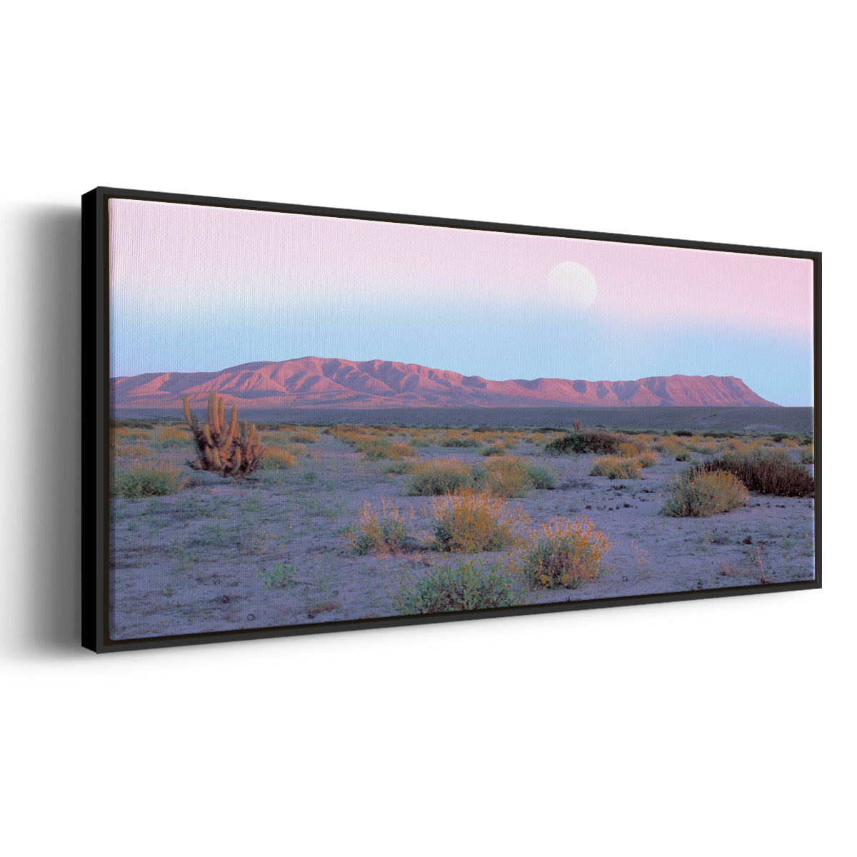 Vallenar Atacama Desert - Floater Framed Canvas Print