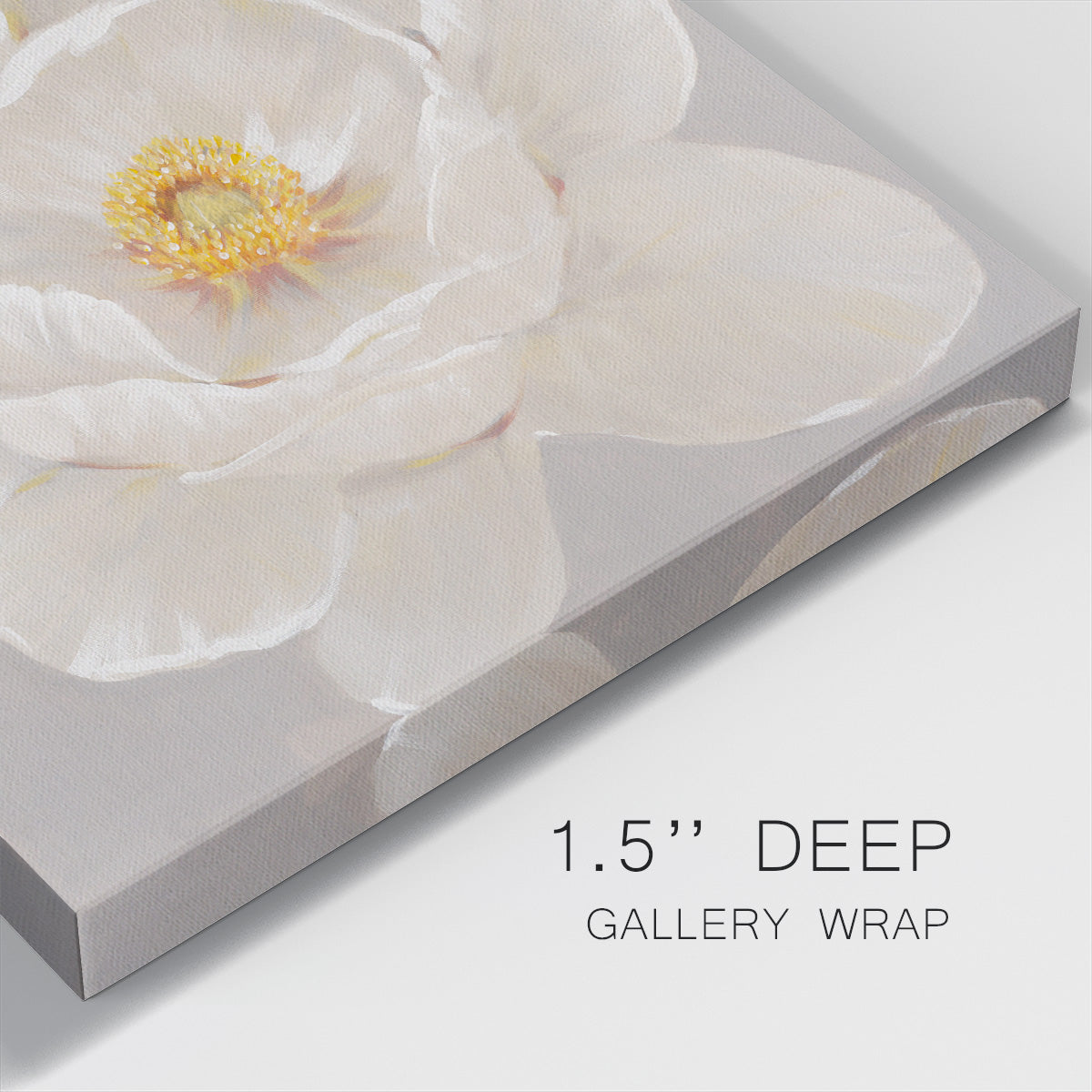 White Peony II-Premium Gallery Wrapped Canvas - Ready to Hang