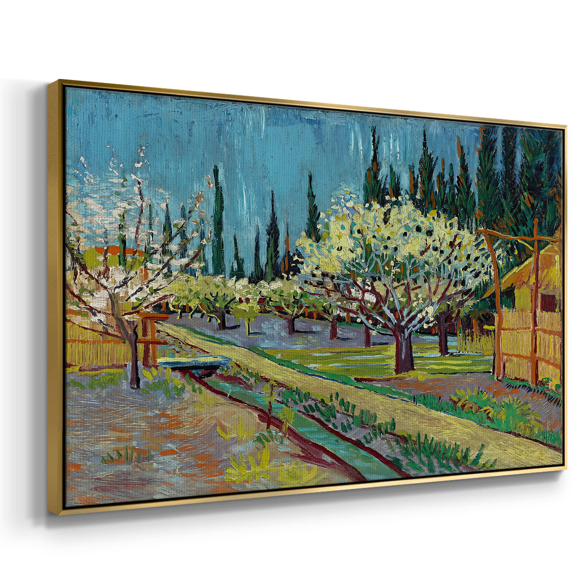 Orchard in Blossom, Bordered by Cypresses, 1888 - Floater Framed Canvas Print