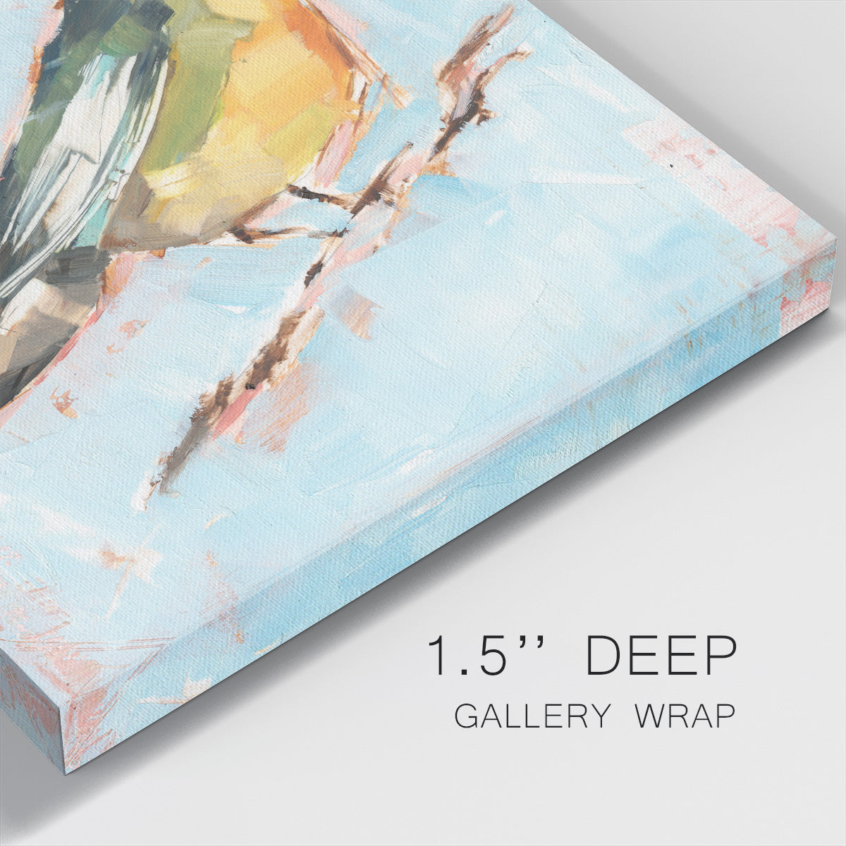 Bird Variety IV-Premium Gallery Wrapped Canvas - Ready to Hang