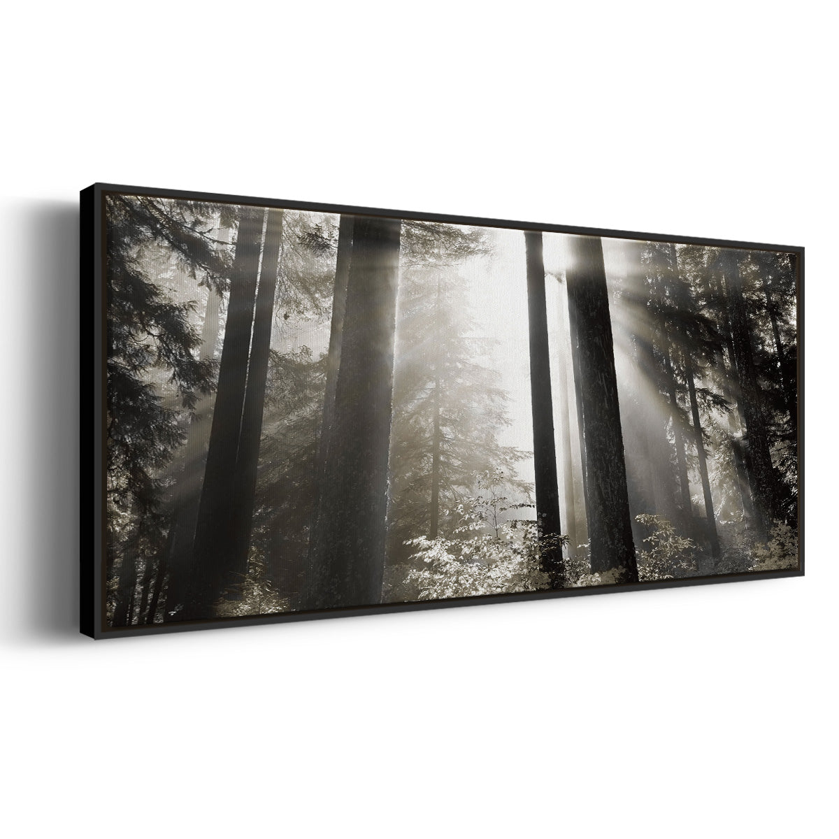 Morning Light - Floater Framed Canvas Print
