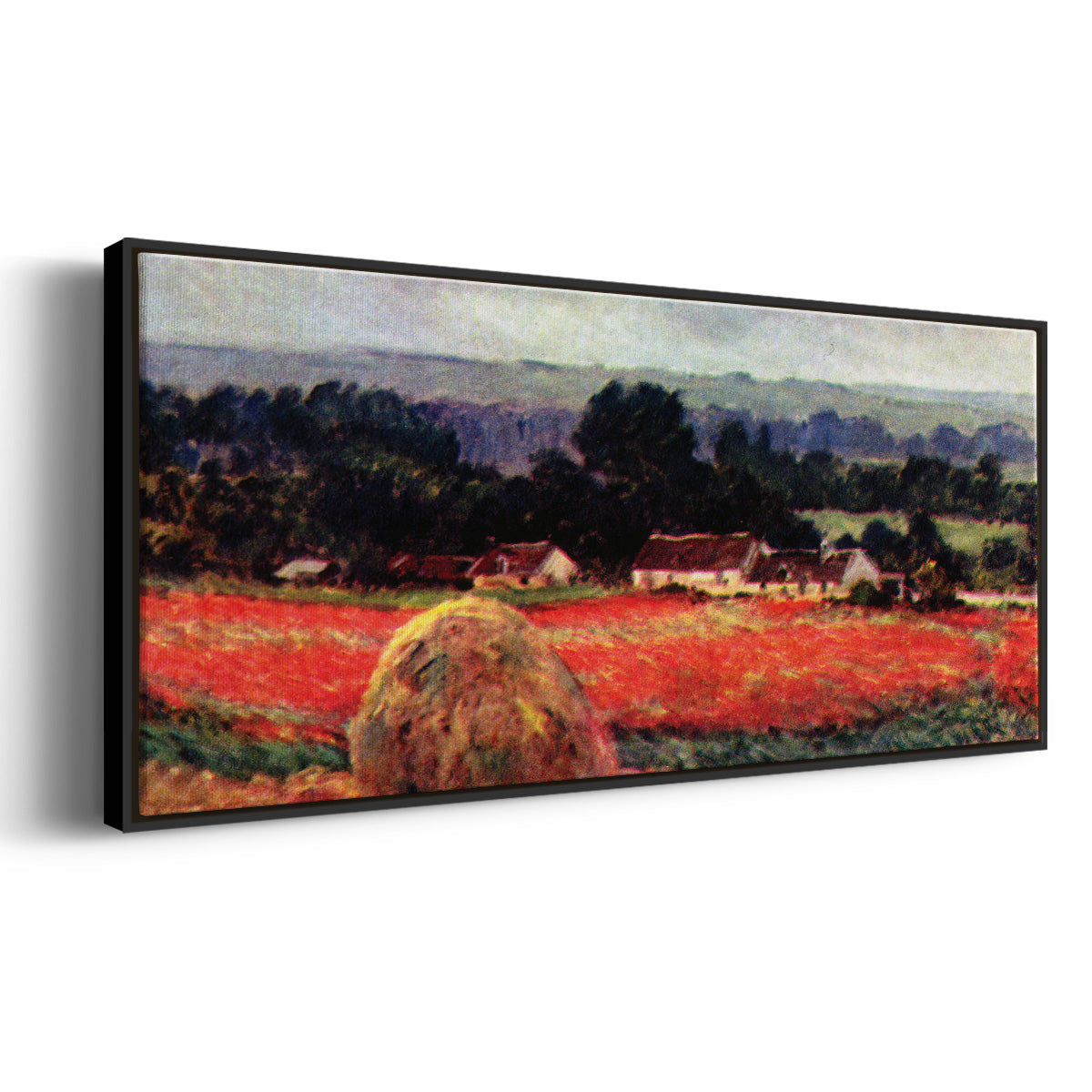 The Poppy Blumenfeld (The Barn) - Floater Framed Canvas Print