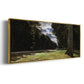 The Road of Chailly in the Fontainbleau Forest, 1865 - Floater Framed Canvas Print