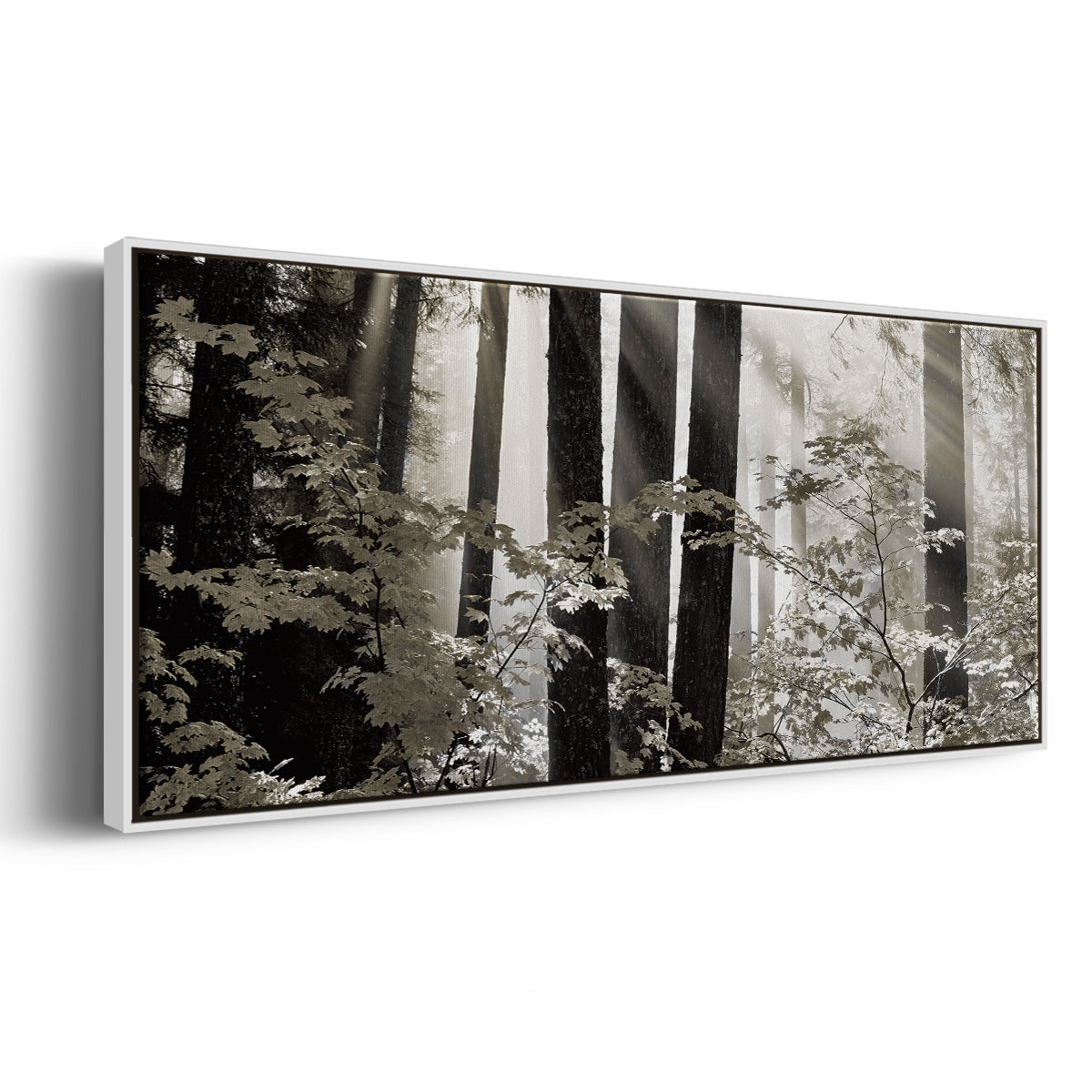 Misty Forest - Floater Framed Canvas Print