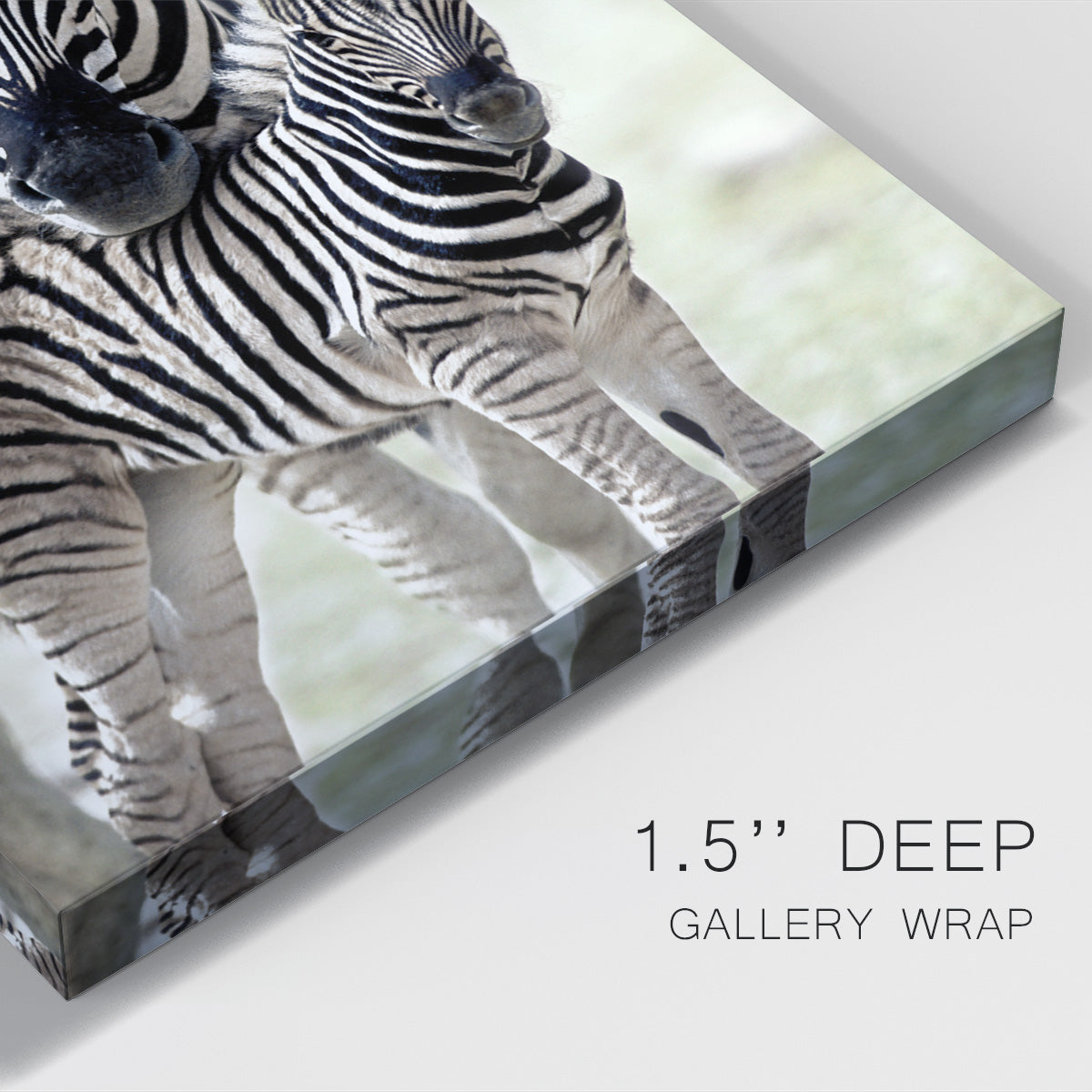 Family of Namibia Premium Gallery Wrapped Canvas - Ready to Hang