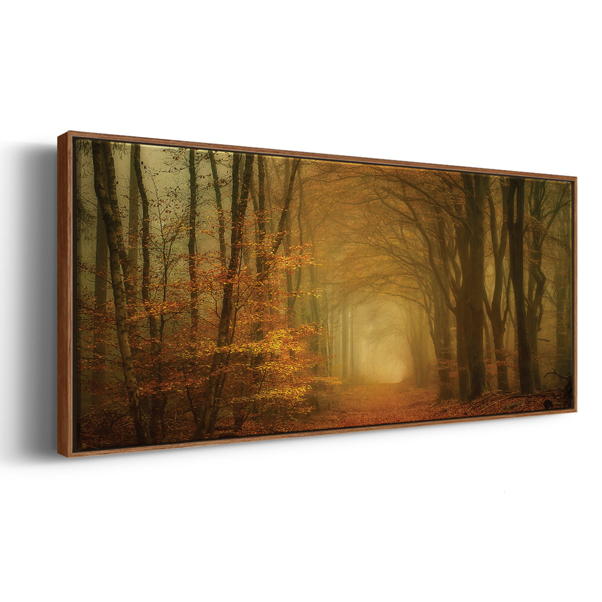 Early Light - Floater Framed Canvas Print