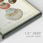 Bookplate Shells III Premium Gallery Wrapped Canvas - Ready to Hang