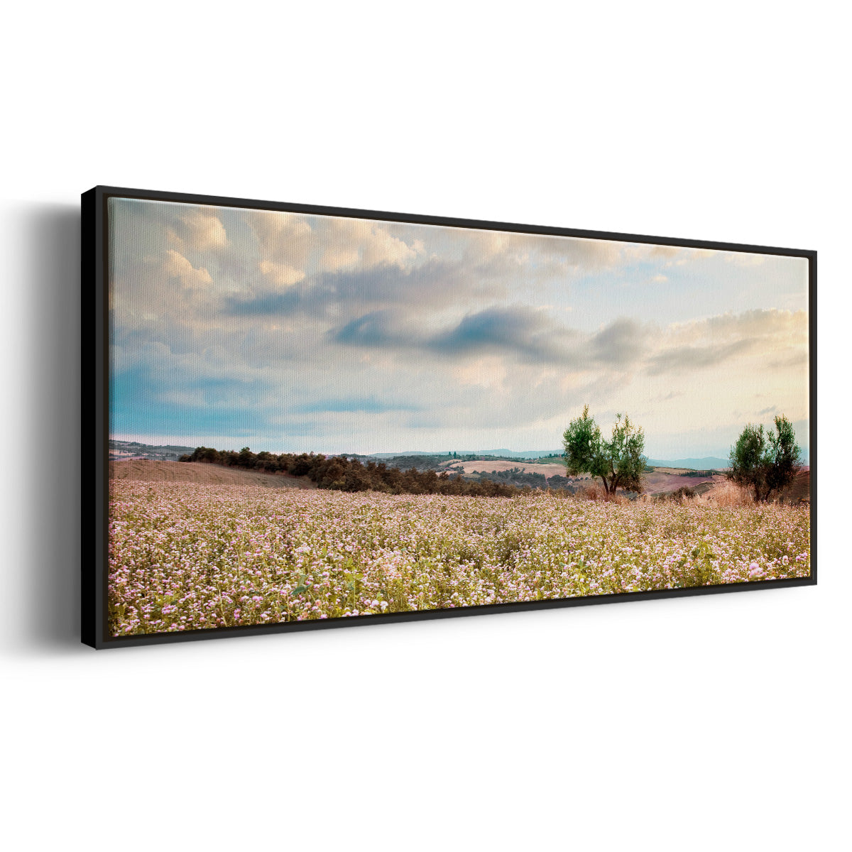 Tuscan Wildflowers - Floater Framed Canvas Print