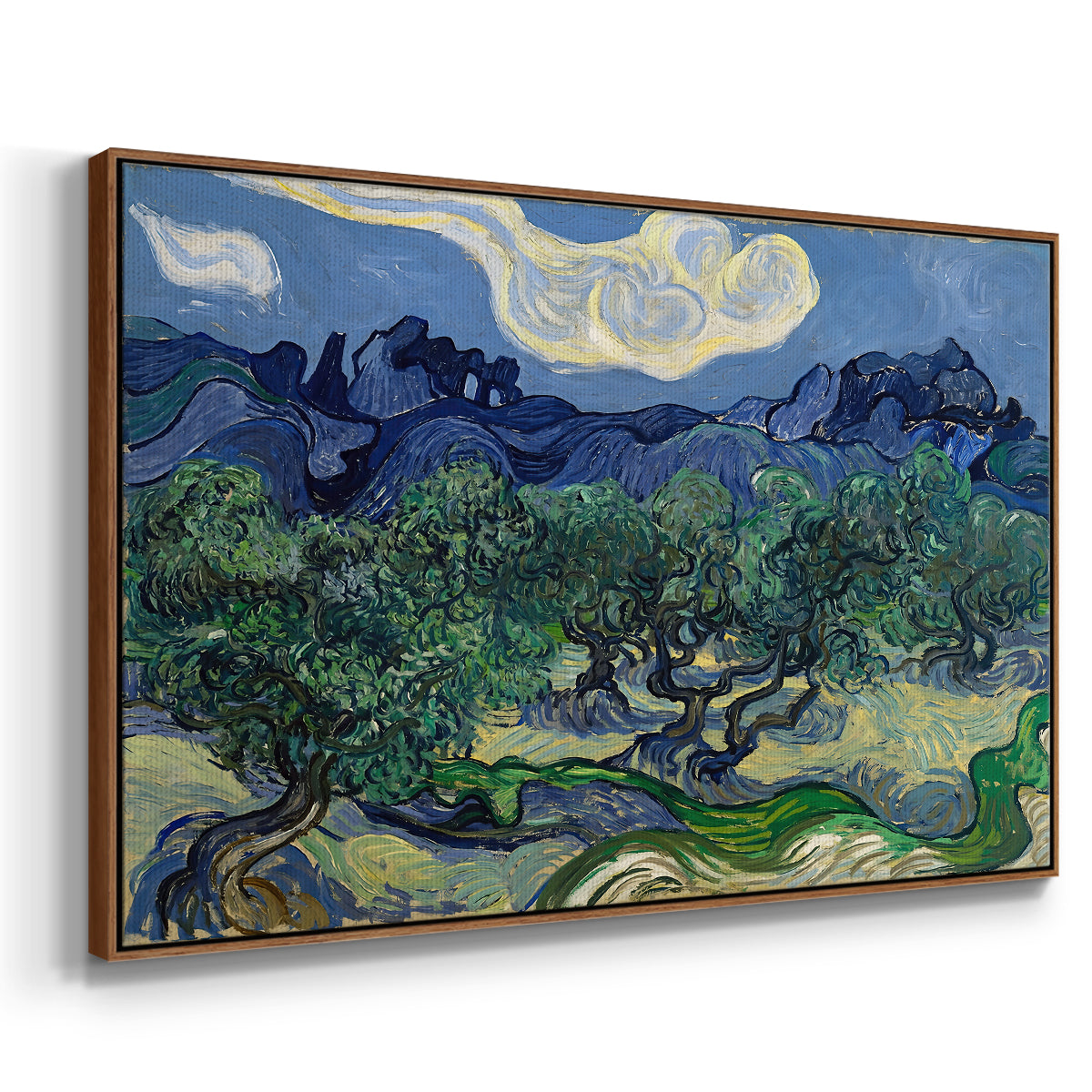 Olive Trees with the Alpilles in the Background, 1889 - Floater Framed Canvas Print