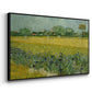 Field with Irises near Arles, 1888 - Floater Framed Canvas Print