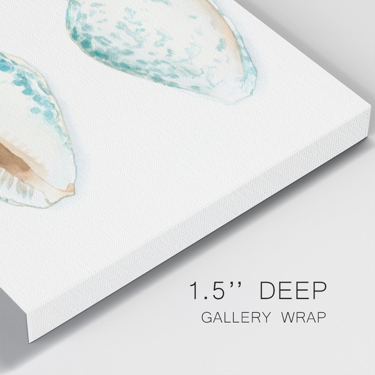 Watercolor Shells VI-Premium Gallery Wrapped Canvas - Ready to Hang