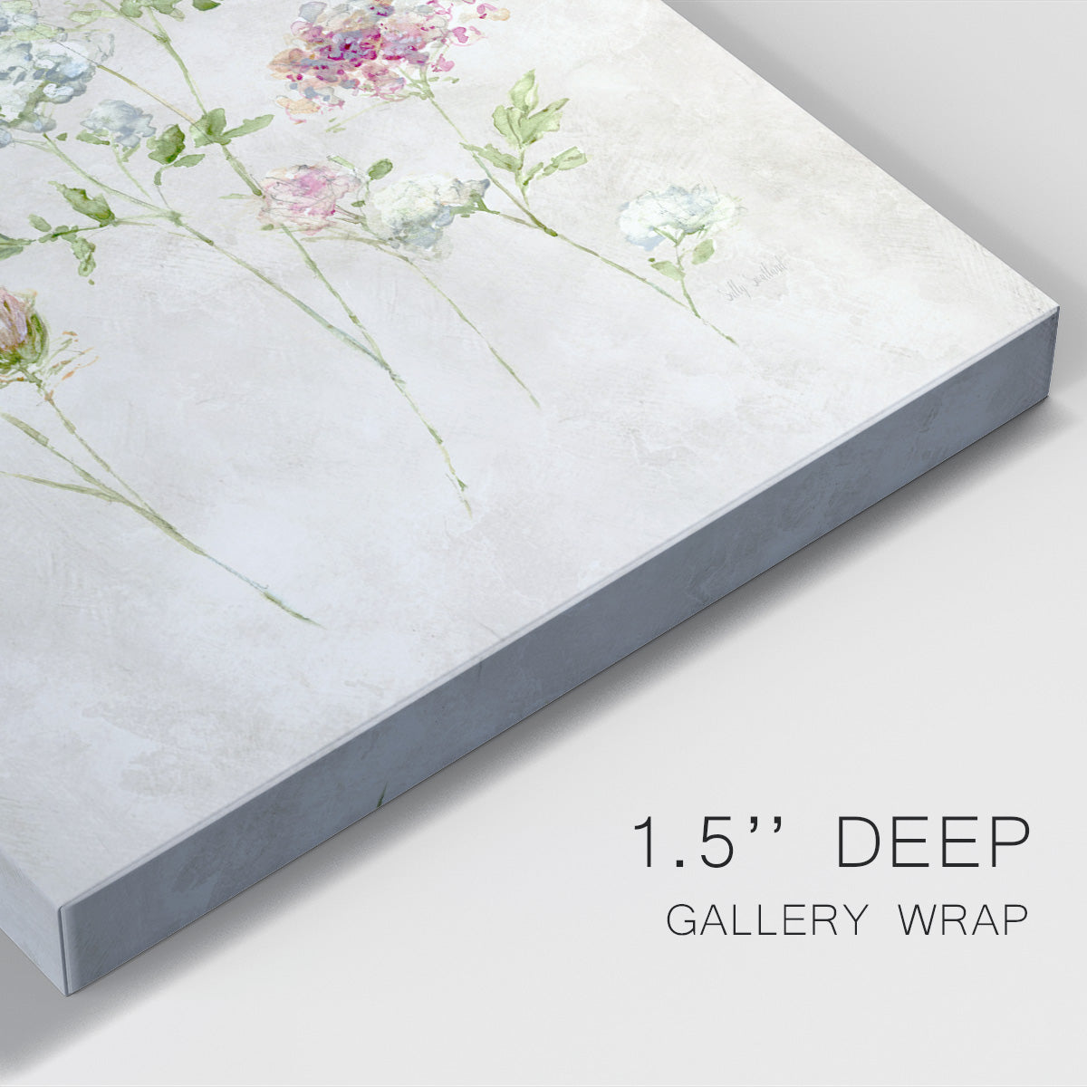 Soft Lace I Premium Gallery Wrapped Canvas - Ready to Hang