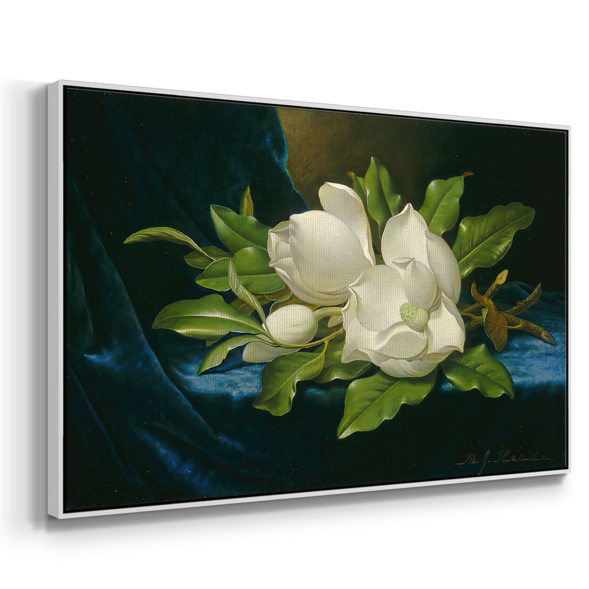 Giant Magnolias on a Blue Velvet Cloth, c. 1890 - Floater Framed Canvas Print