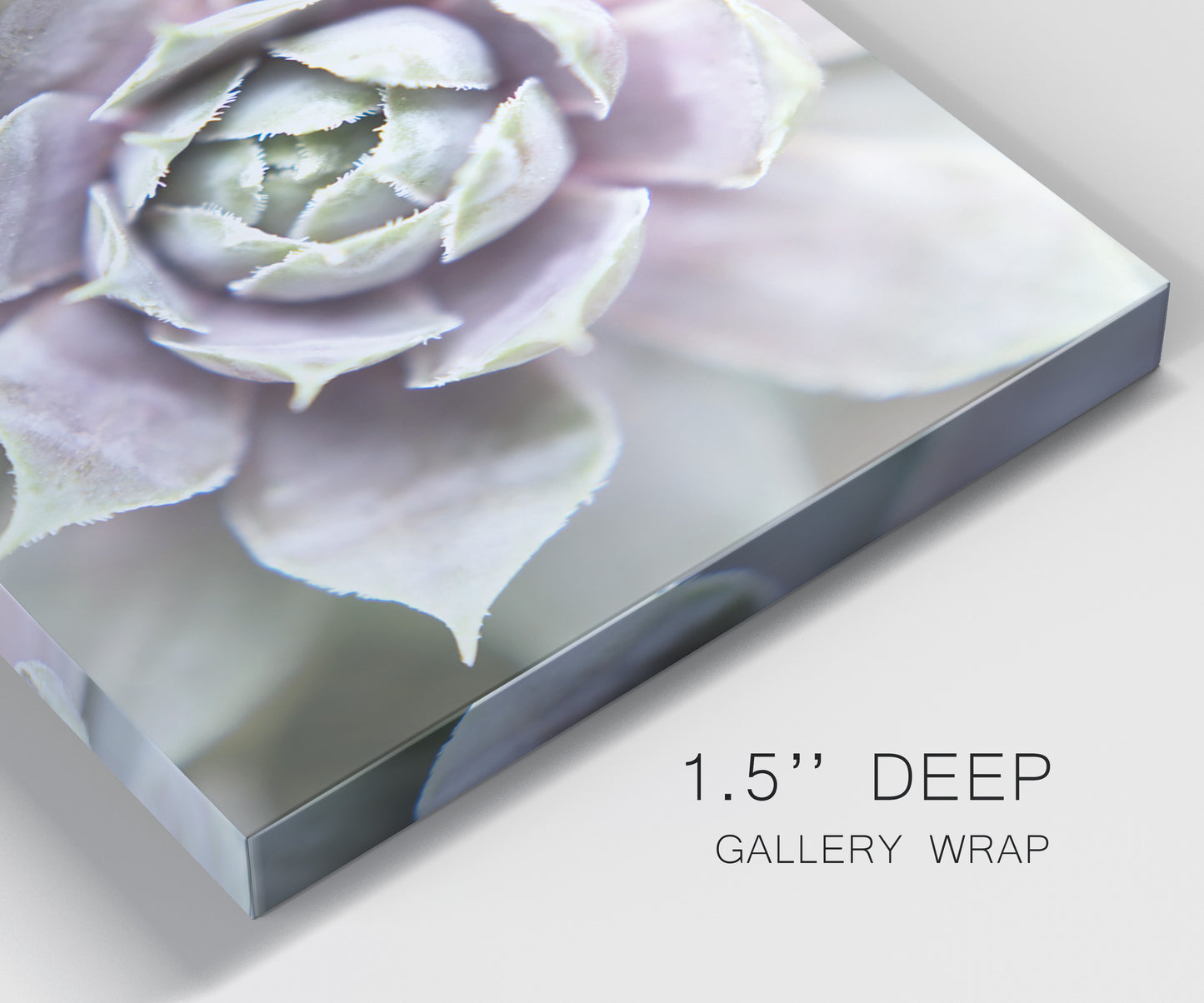 Close-up view of wrapped canvas corner featuring close up succulent photography.