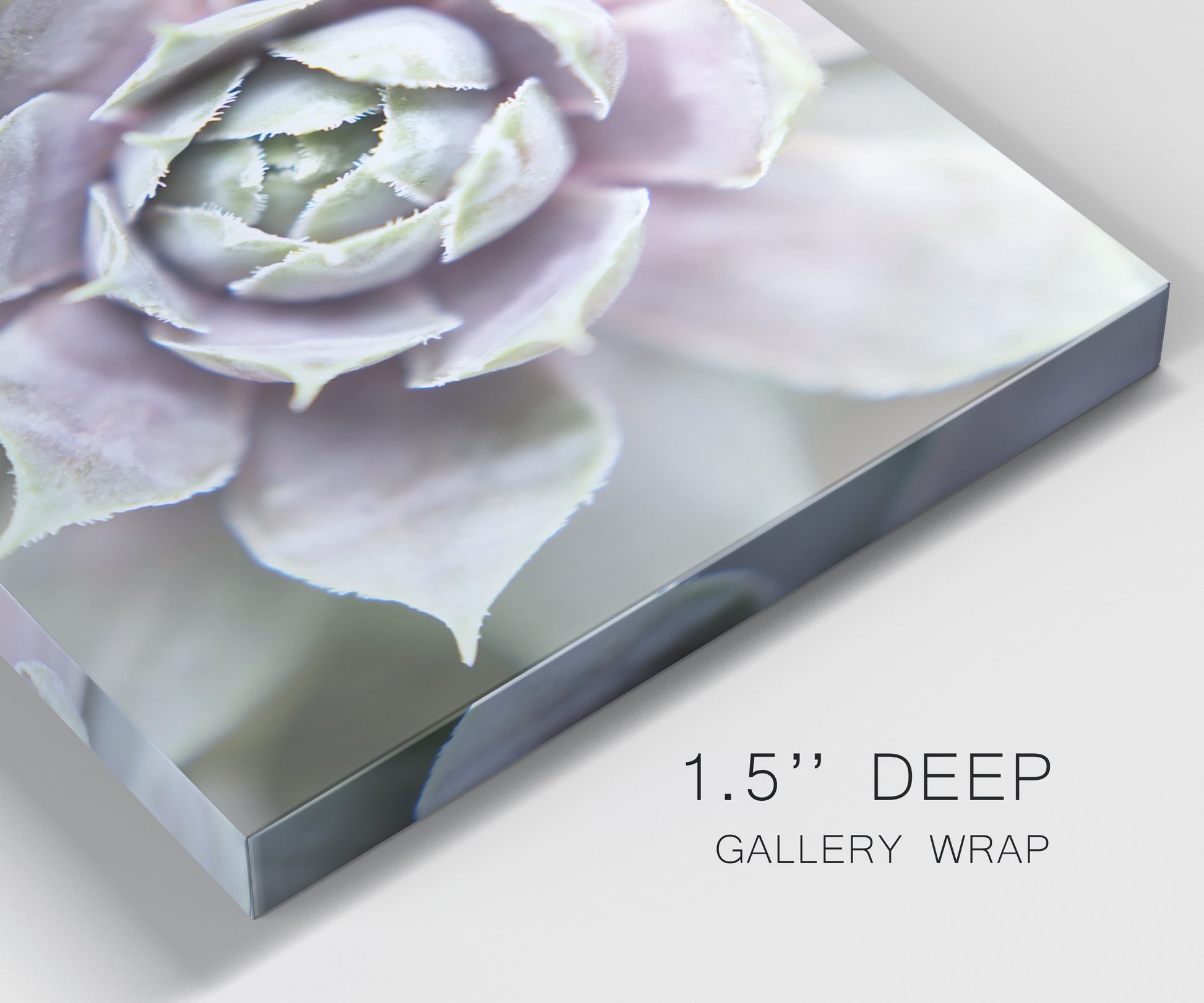 Close-up view of wrapped canvas corner featuring close up succulent photography.