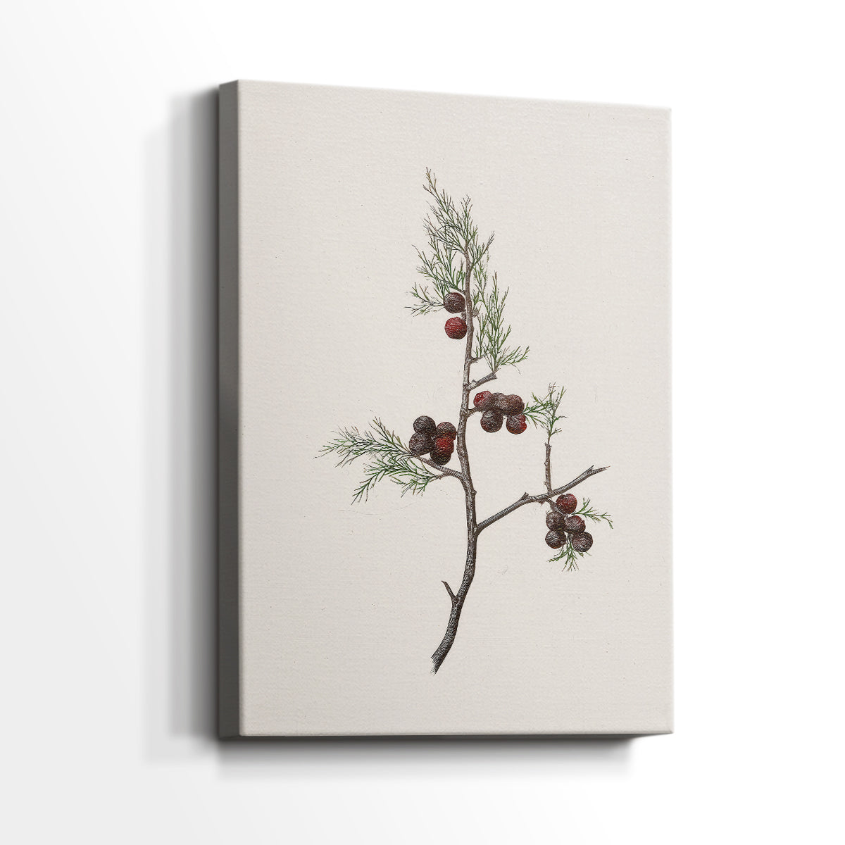 Midnight of Frostlit Morning - Canvas Art Print