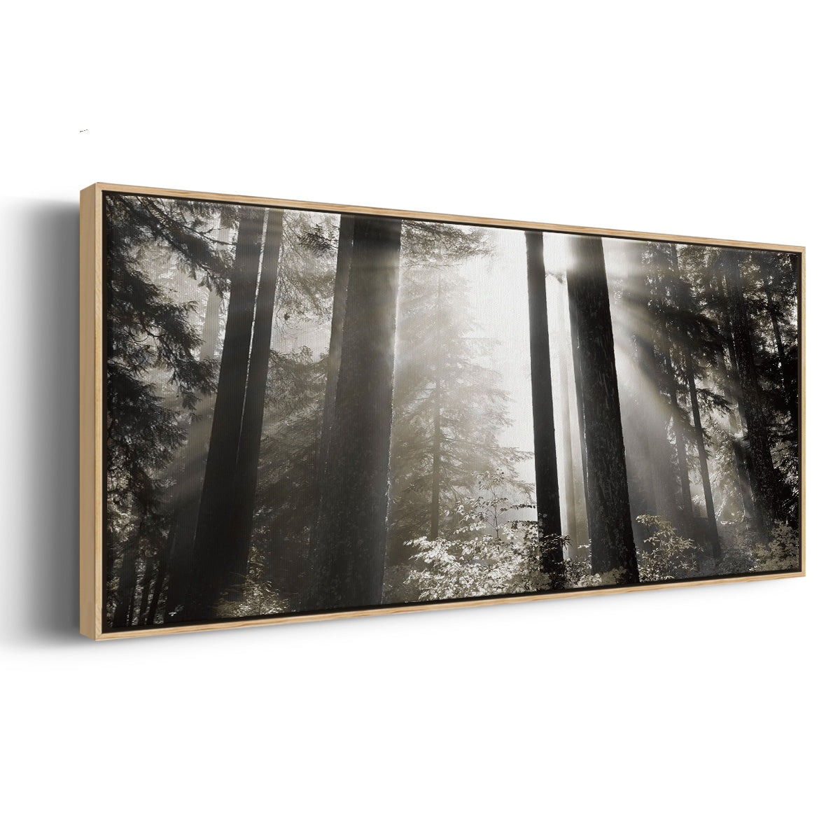 Morning Light - Floater Framed Canvas Print