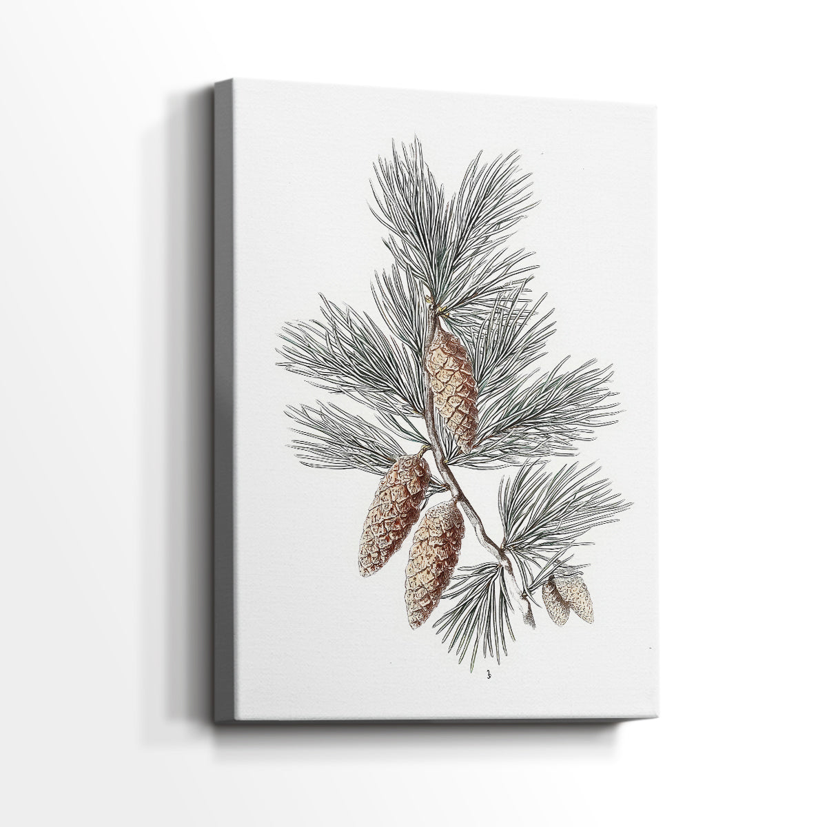 Frostlit Star Hearth - Canvas Art Print