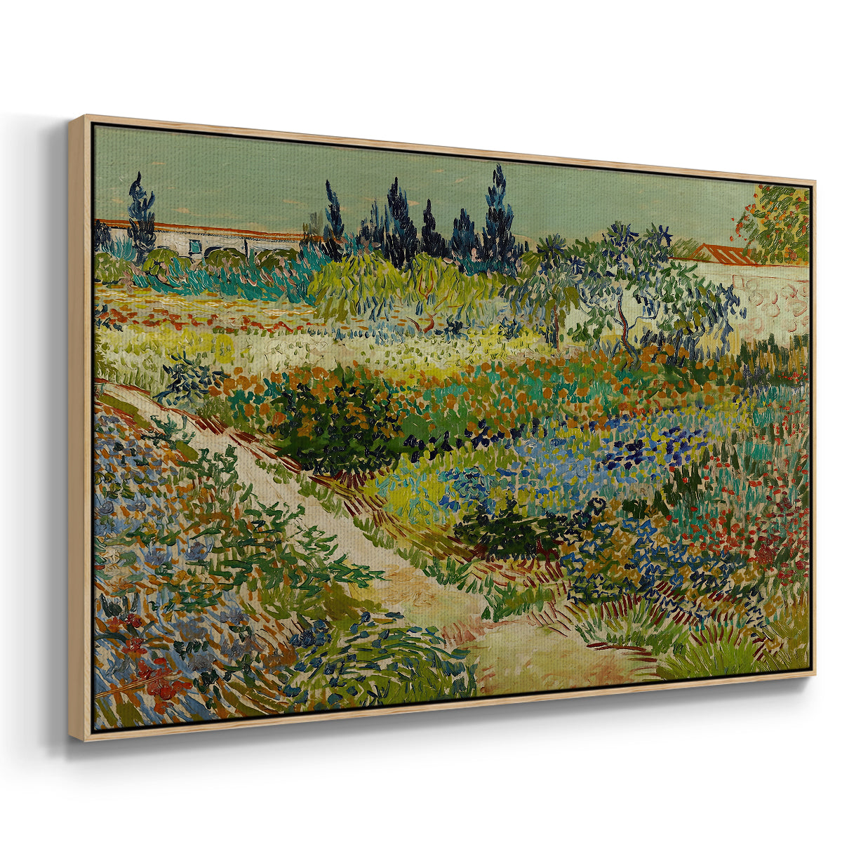 Garden at Arles, 1888 - Floater Framed Canvas Print
