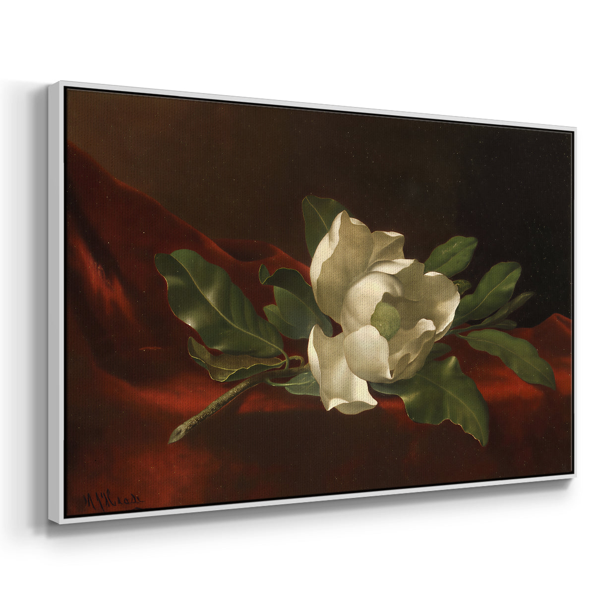 Magnolia on Red Velvet, c. 1885-1890 - Floater Framed Canvas Print