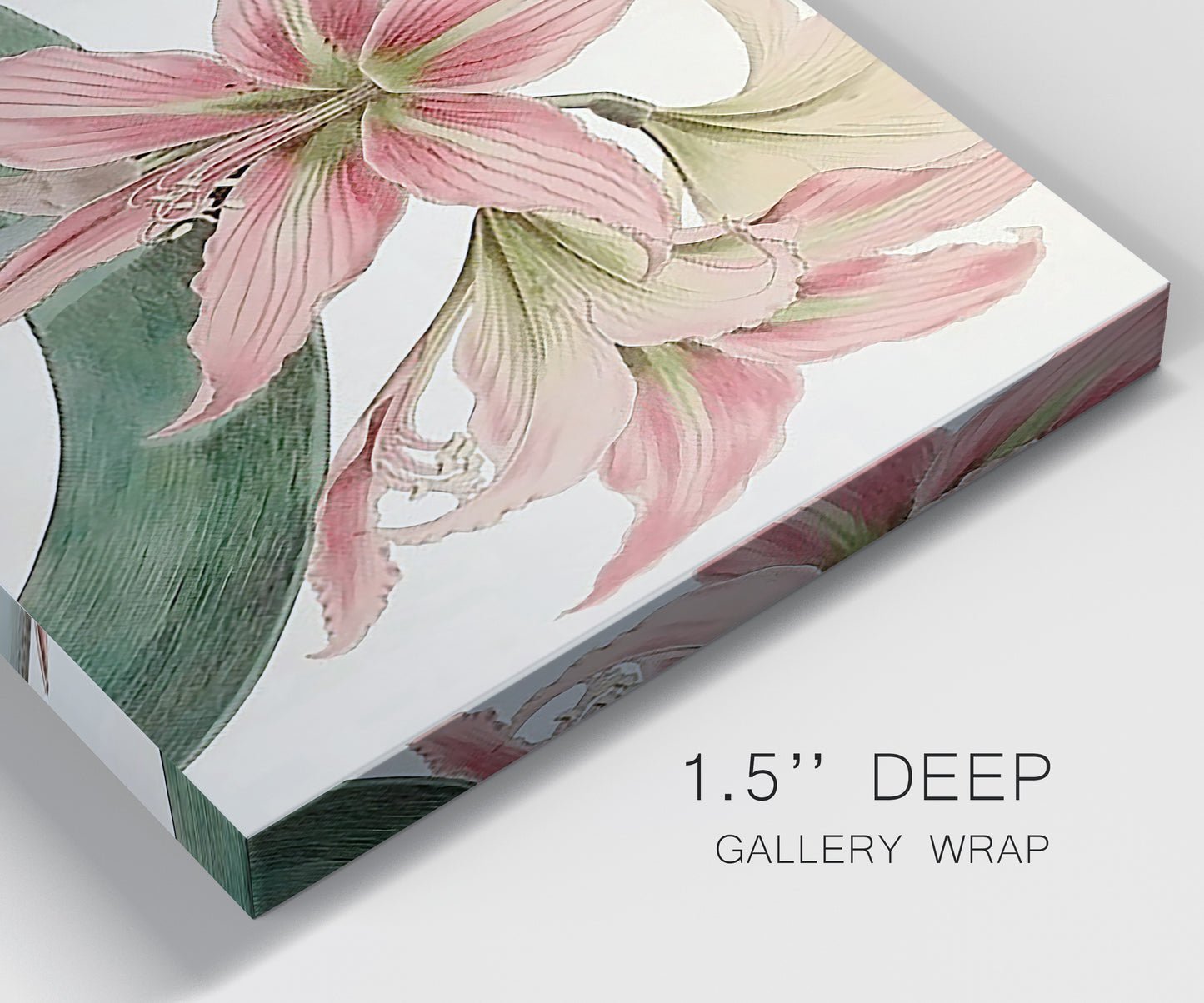 Close-up view of wrapped canvas corner featuring vintage styled amaryllis floral study.