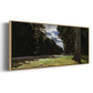 The Road of Chailly in the Fontainbleau Forest, 1865 - Floater Framed Canvas Print