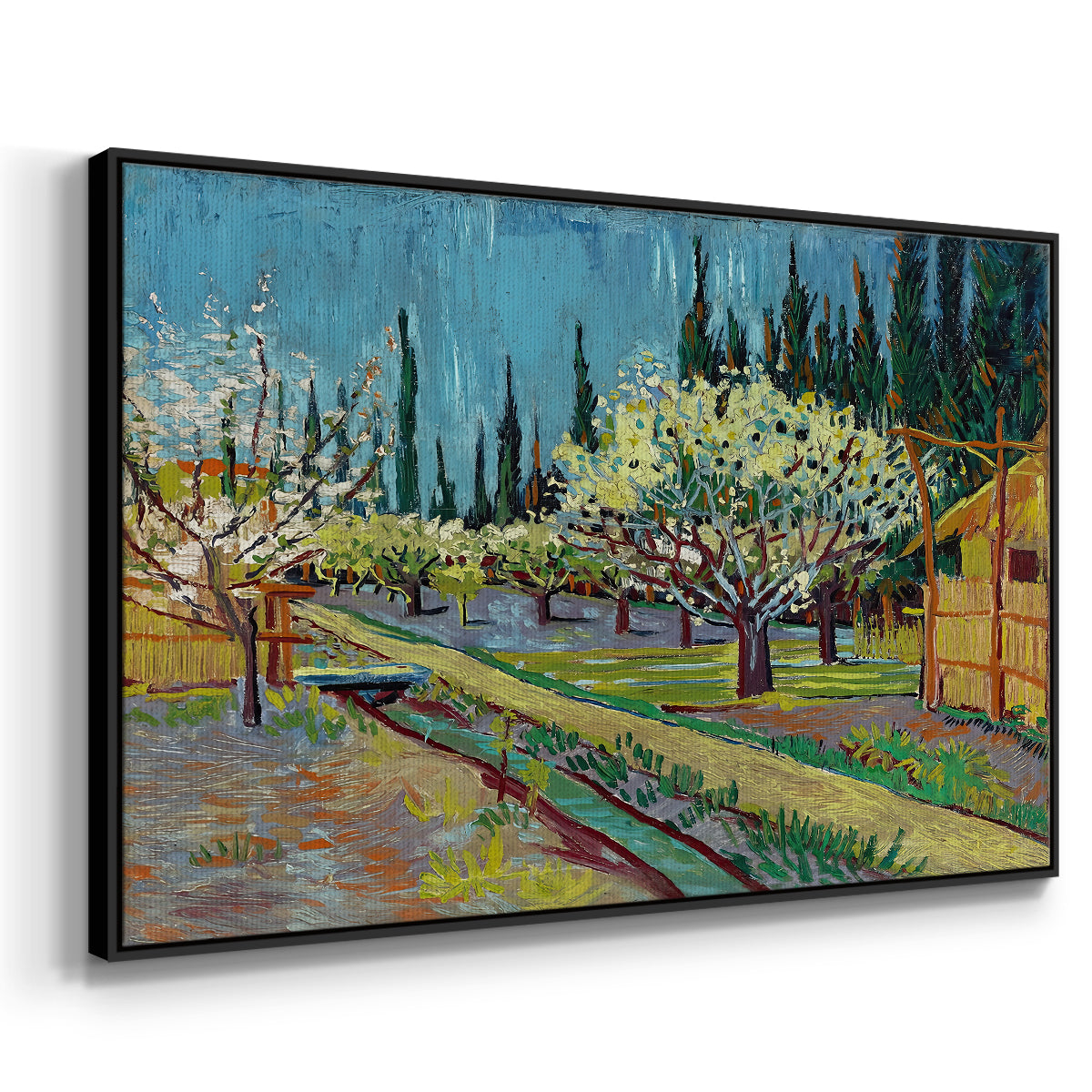 Orchard in Blossom, Bordered by Cypresses, 1888 - Floater Framed Canvas Print