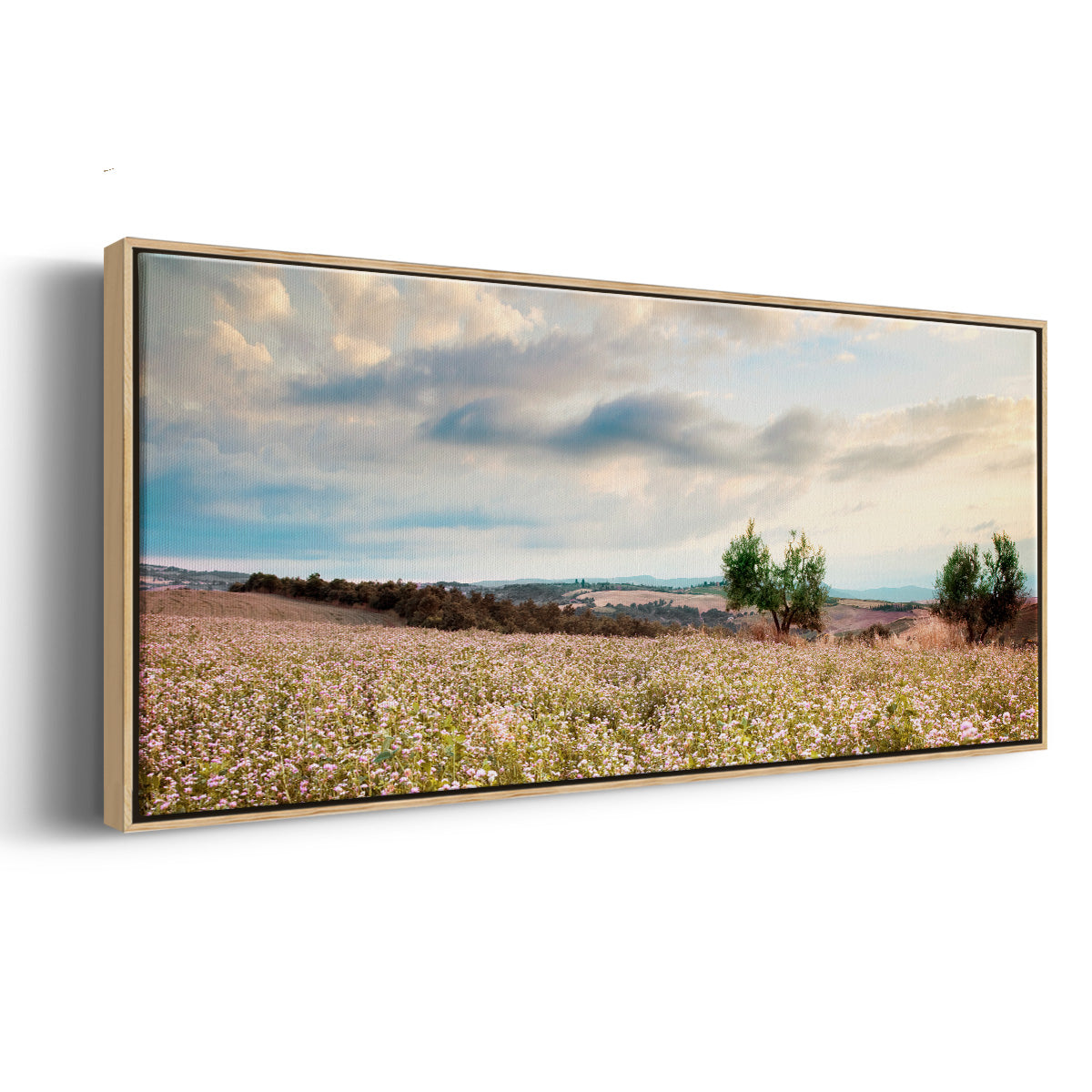 Tuscan Wildflowers - Floater Framed Canvas Print