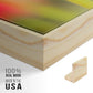 Twotone Tulip -  Framed Canvas Print