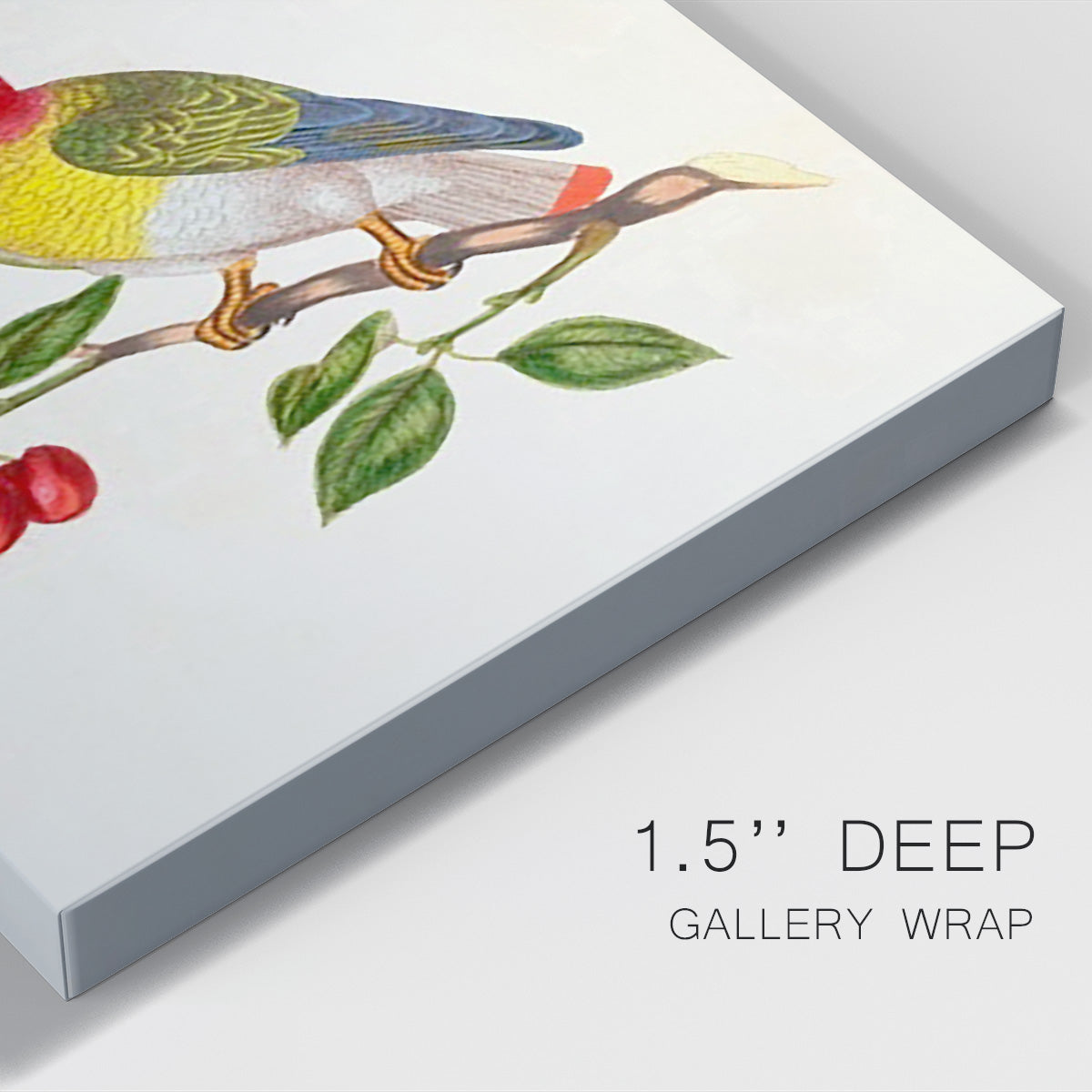 Bird in Habitat VI Premium Gallery Wrapped Canvas - Ready to Hang