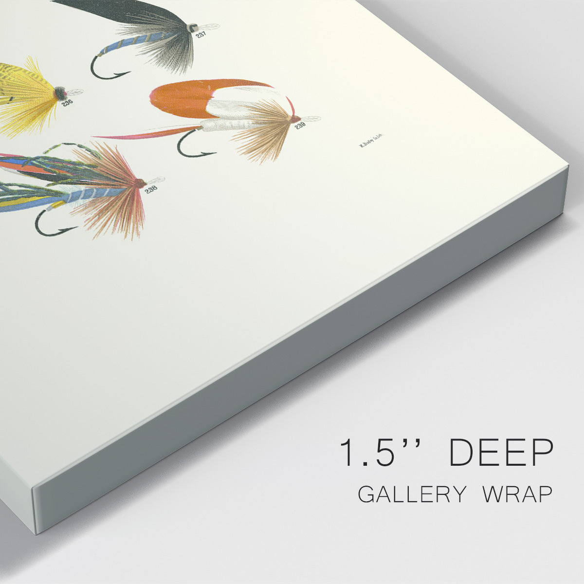 Bass Flies I Premium Gallery Wrapped Canvas - Ready to Hang