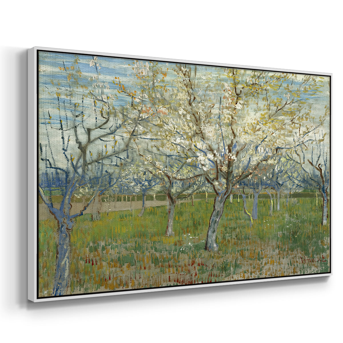 The Pink Orchard, 1888 - Floater Framed Canvas Print
