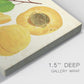 Apricot Study II Premium Gallery Wrapped Canvas - Ready to Hang