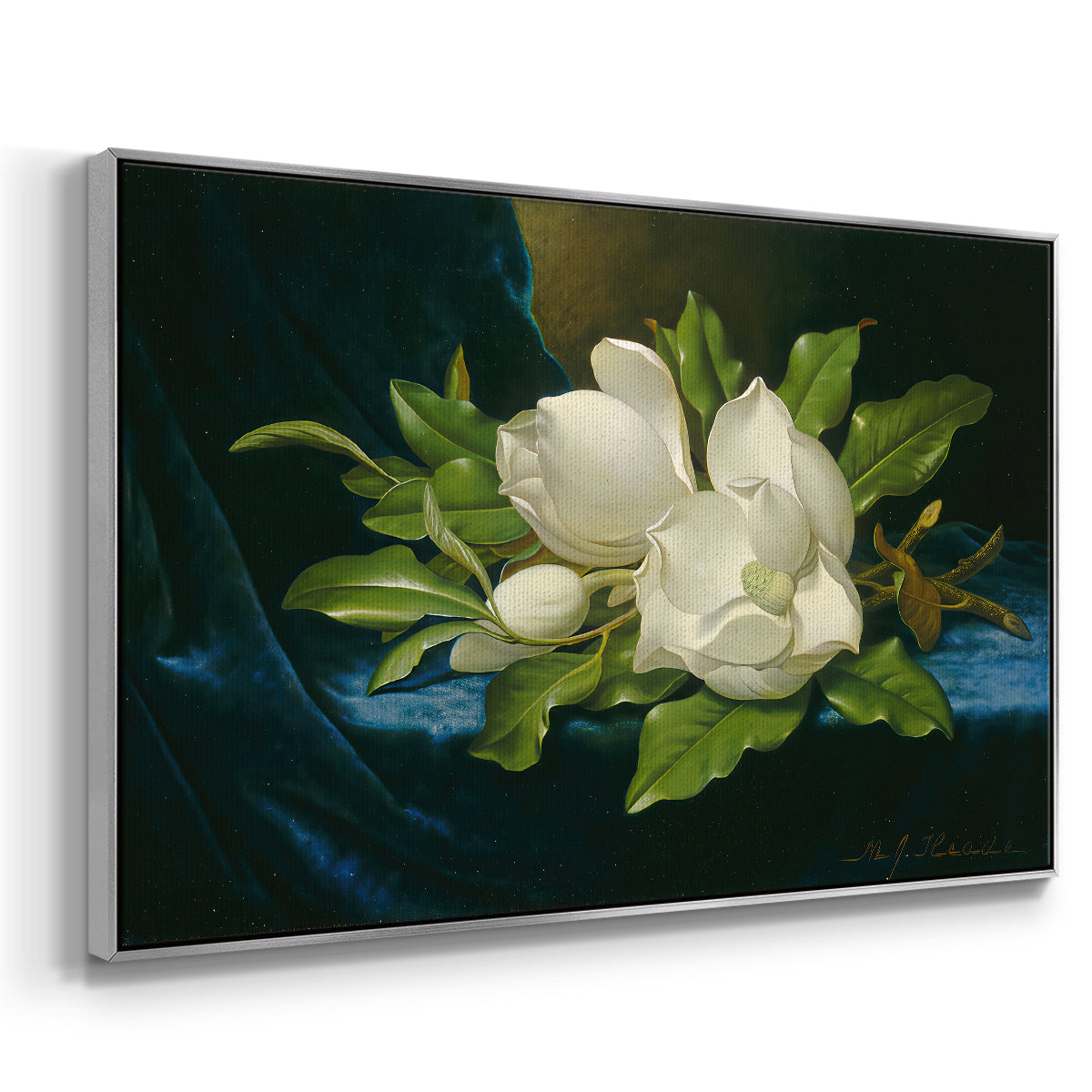Giant Magnolias on a Blue Velvet Cloth, c. 1890 - Floater Framed Canvas Print