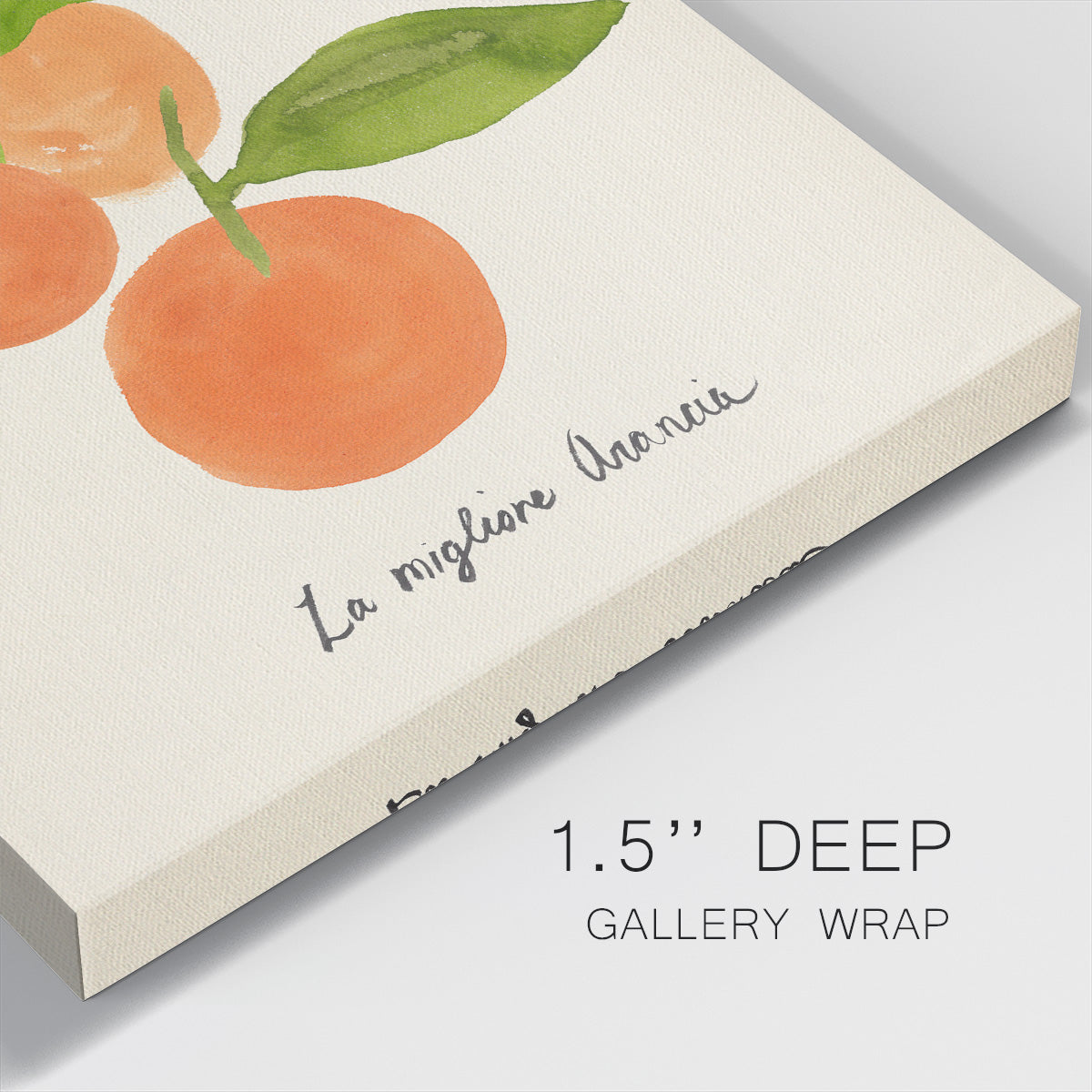 Citrus Trattare II-Premium Gallery Wrapped Canvas - Ready to Hang