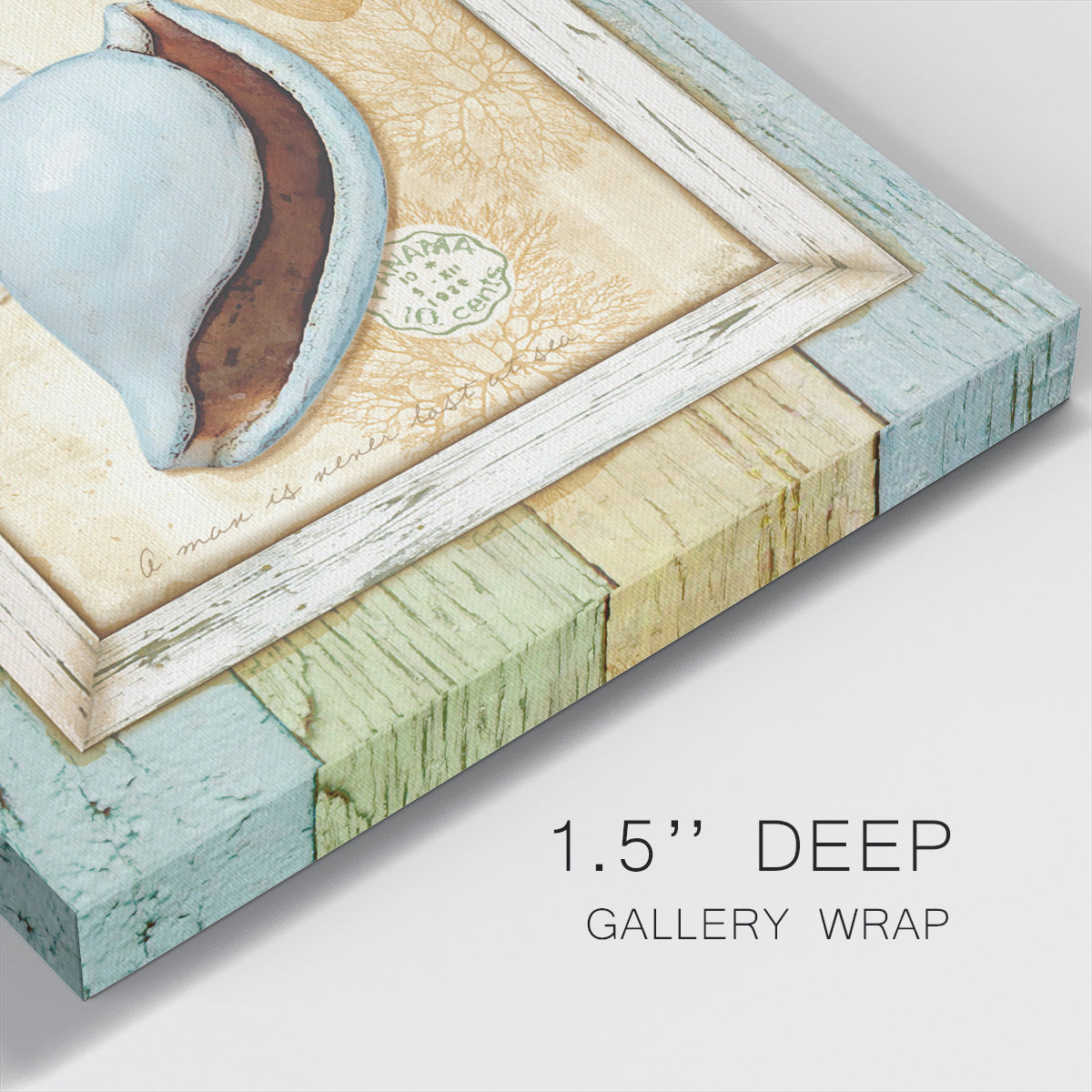 Sea Treasures IV-Premium Gallery Wrapped Canvas - Ready to Hang