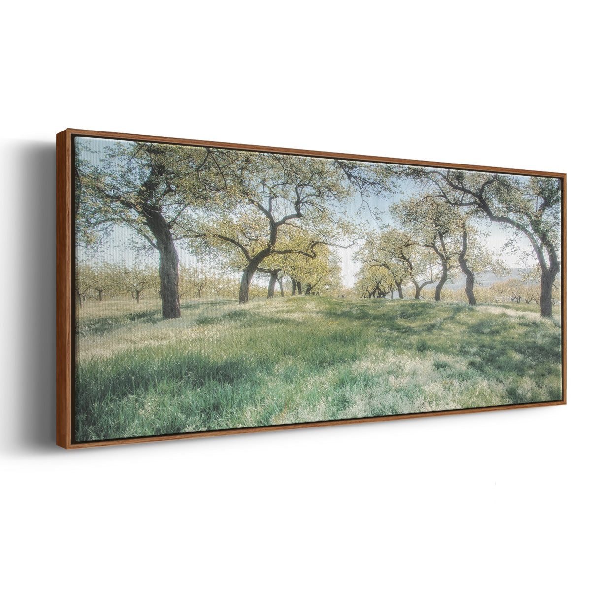 Charming Spring Mood - Floater Framed Canvas Print